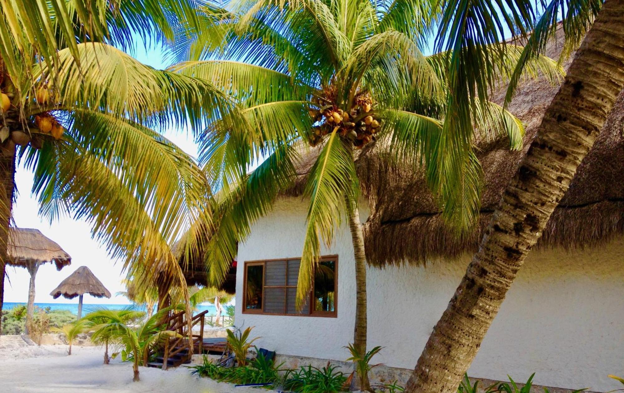 Hotel Palapas Del Sol Isla Holbox Pokoj fotografie