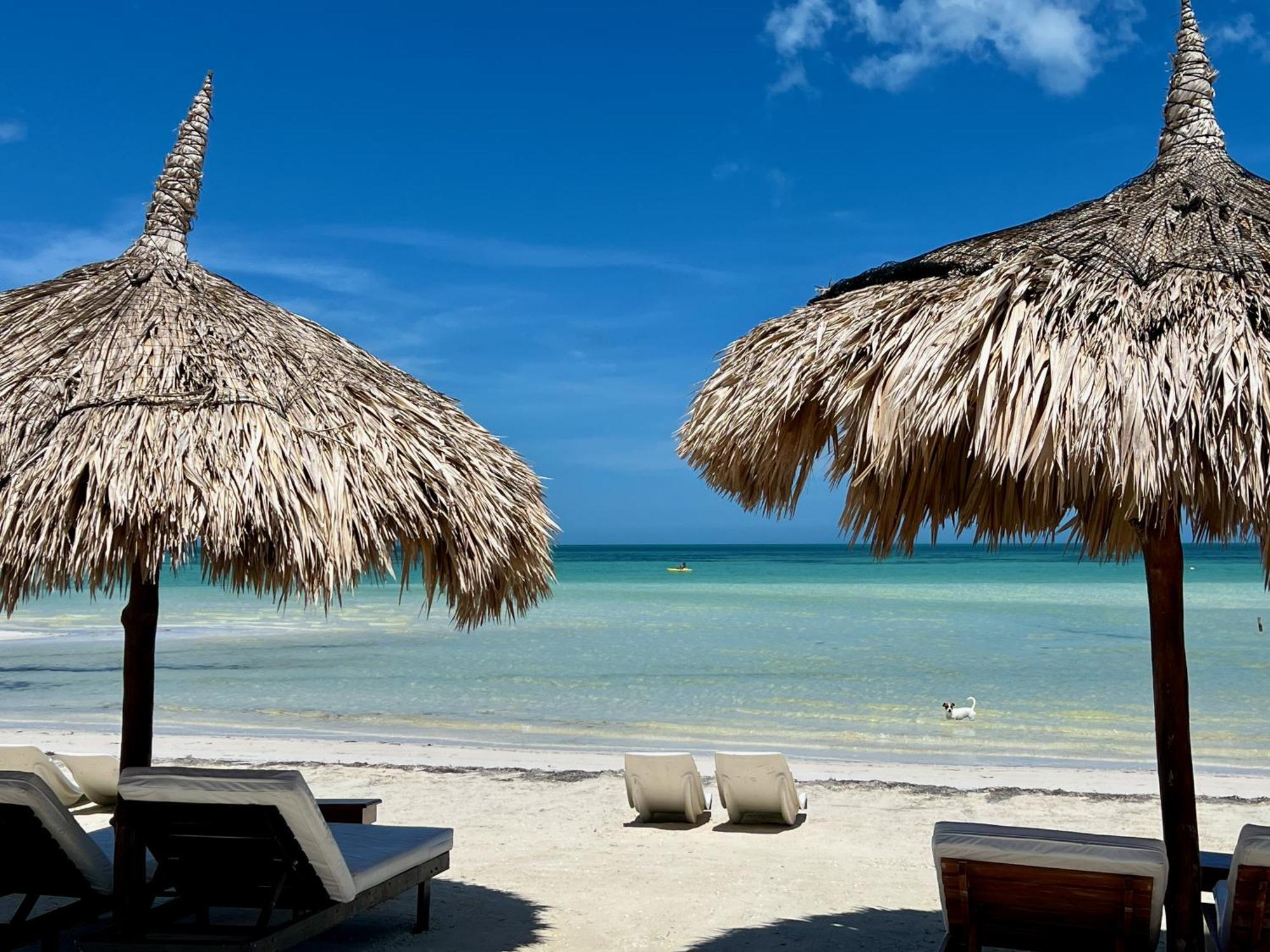 Hotel Palapas Del Sol Isla Holbox Exteriér fotografie