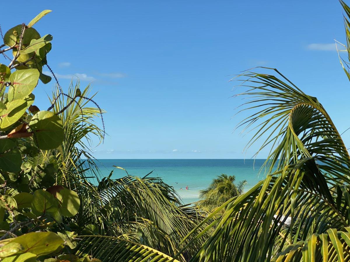 Hotel Palapas Del Sol Isla Holbox Exteriér fotografie